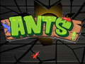 Ants 