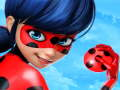 LadyBug Popstar Dress up 