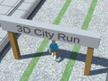 City Run 3D 