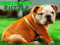 Bulldog Puppy Puzzle 