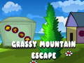 Grassy Mountain Escape 