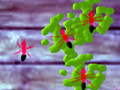 Smash Ants 