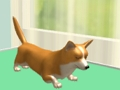 Pet Care 