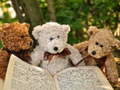 Cuddly Three Teddy Jigsaw 
