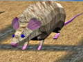 Mouse Race Islands 