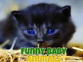 Funny Baby Animals 