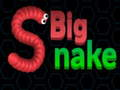 Big Snake 