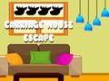 Carriage House Escape 