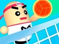 3D Amazing VolleyBall 
