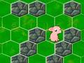 Block the Pig 