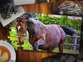 Jigsaw Puzzle Horses Edition 