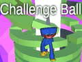 Challenge Ball 