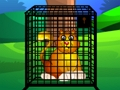 Rescue The Golden Cat 