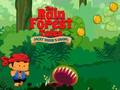 Rainforest Tales 