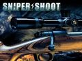 Sniper Shooting 