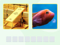 Picword 