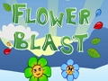 Flower Blast 
