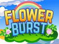 Flower Burst 