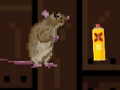 Rat hunt 