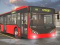 City Bus Driver 