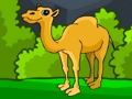 Rescue The Hungry Camel 