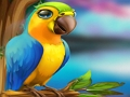 Little Parrot Escape 