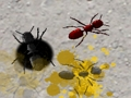 Smash the ant 