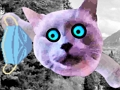 Collect your Masks 