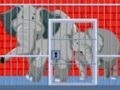 Rescue of mother and baby elephant 