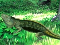 Lizard escape from the forest 