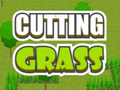 Cutting Grass 