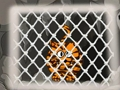Tiger Escape 1 