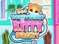 Doc HoneyBerry Kitty Surgery 