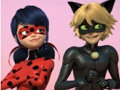 Miraculous Ladybug & Cat Noir Jigsaw Puzzle 