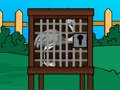 Greater Rhea Escape 