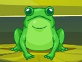 Frog Match Master 