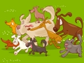 Hidden Object 