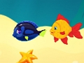 Marine Fish 