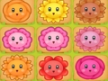 Bloom Me 