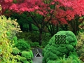 Maple Leaf Garden Escape 