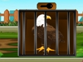 Rescue the Bald Eagle 