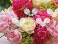 Pretty Blossom Wallpaper Escape 