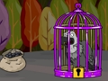 Black Vulture Escape 