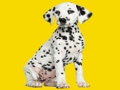 Phantom Pups Jigsaw Puzzle 