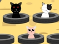 Catch Cats 