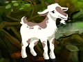 Searching Goat Child 