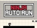 Ninja Auto Run 