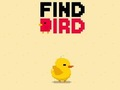 Find Bird 