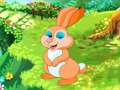 Natural Grass Scenery Escape 