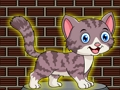 Loveable Small Cat Escape 